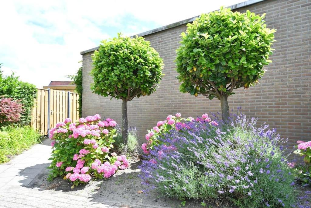 Vrijvakantiehuis Houtenburgseweg 2 Zoutelande Luaran gambar